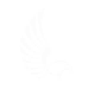 Falcon Digital Marketing