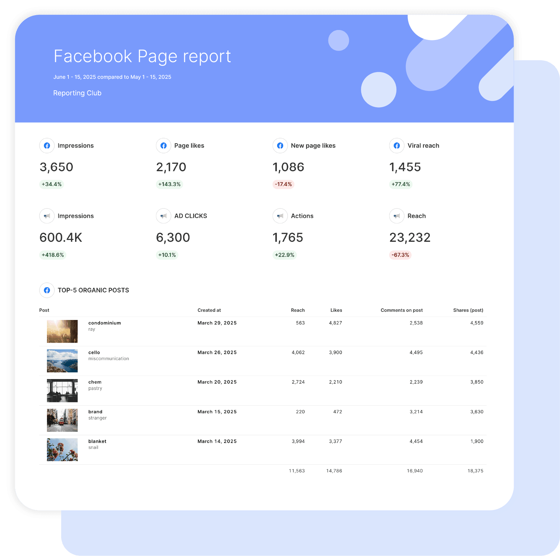 Facebook Page Report