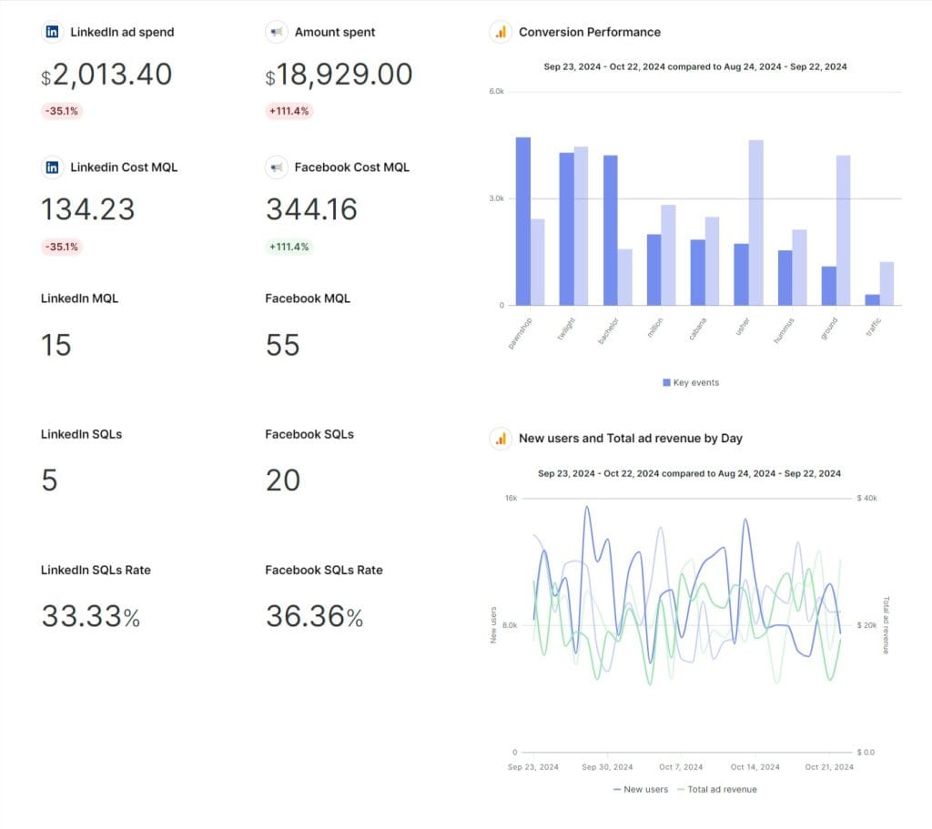 Social Media Marketing report 10 23 2024 10 47 AM