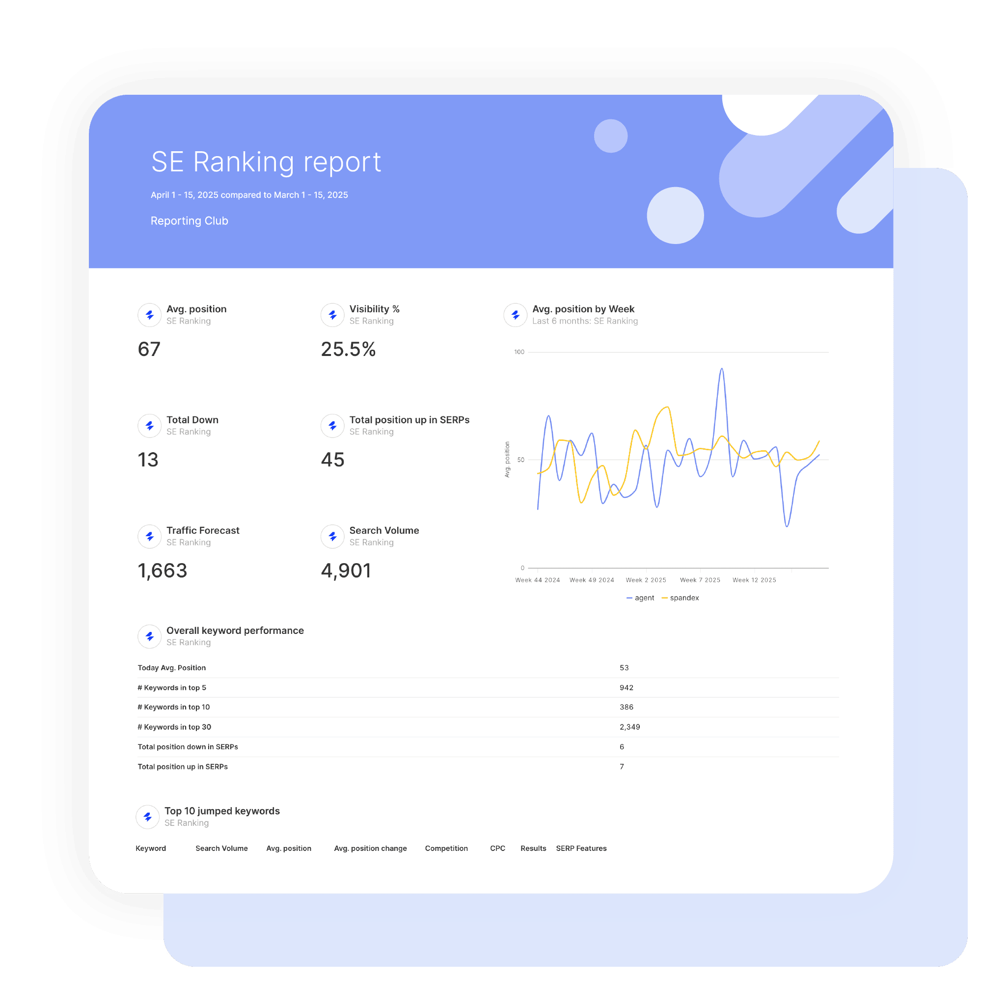 SE ranking Report