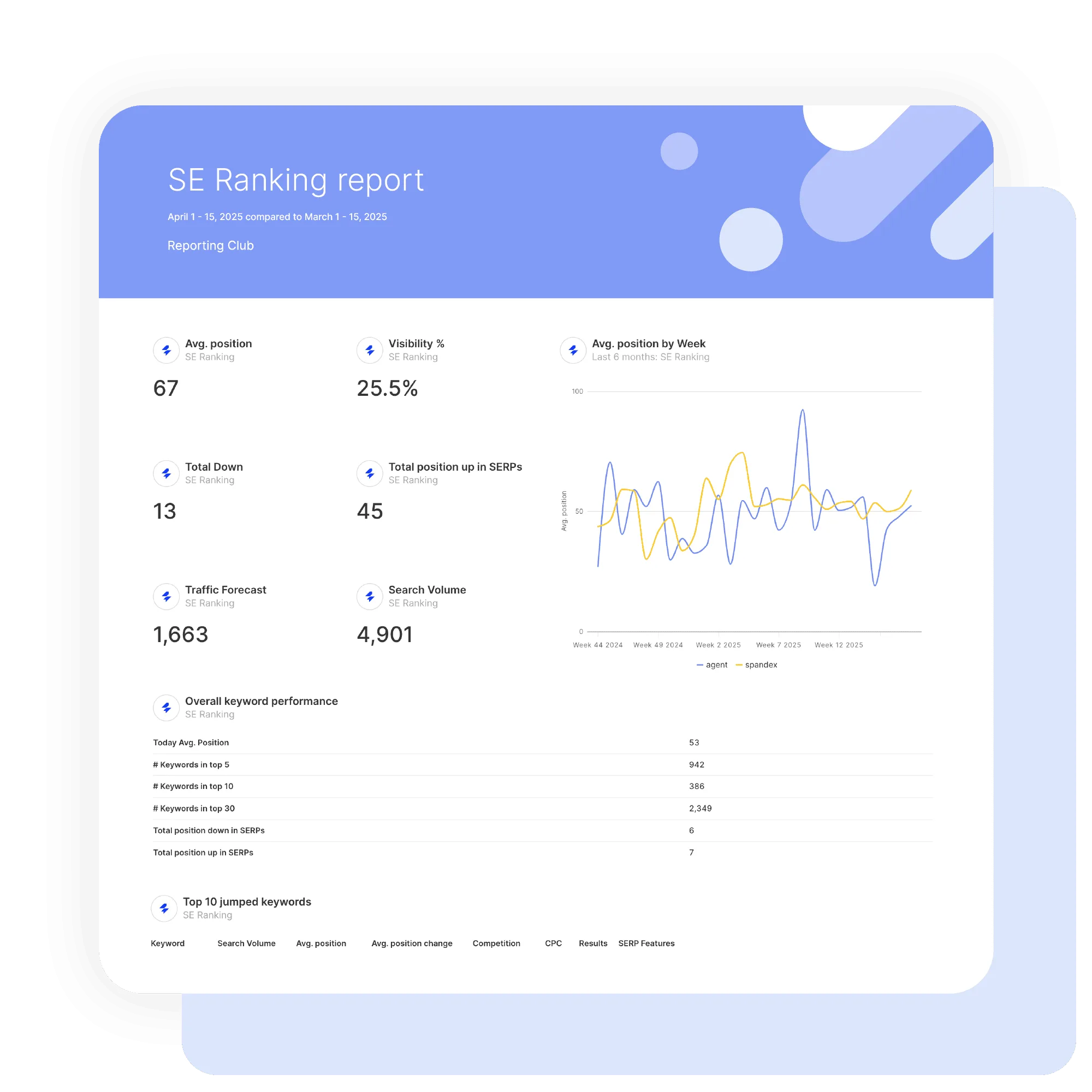 SE ranking Report