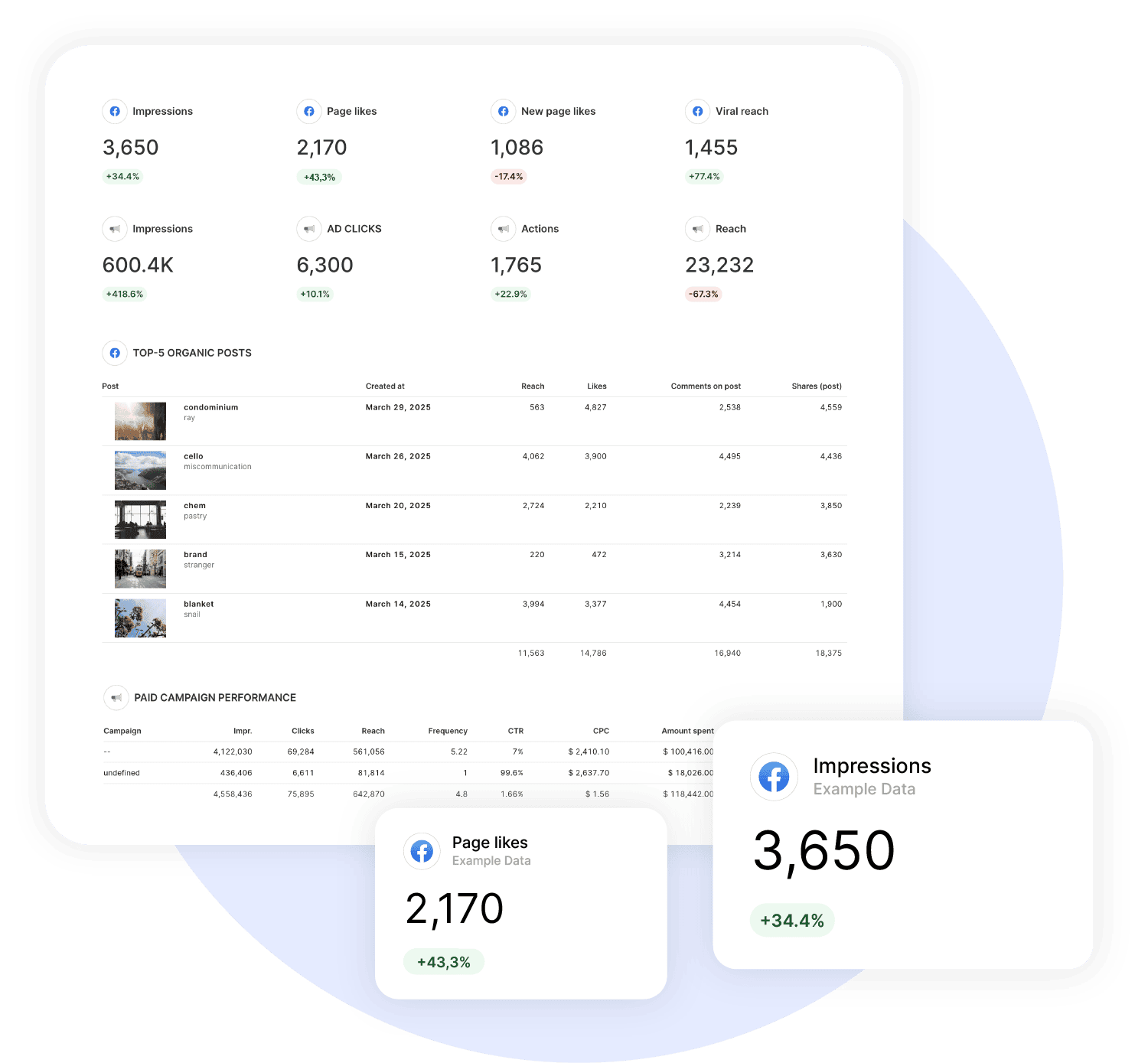 Facebook Insights Reporting Tool