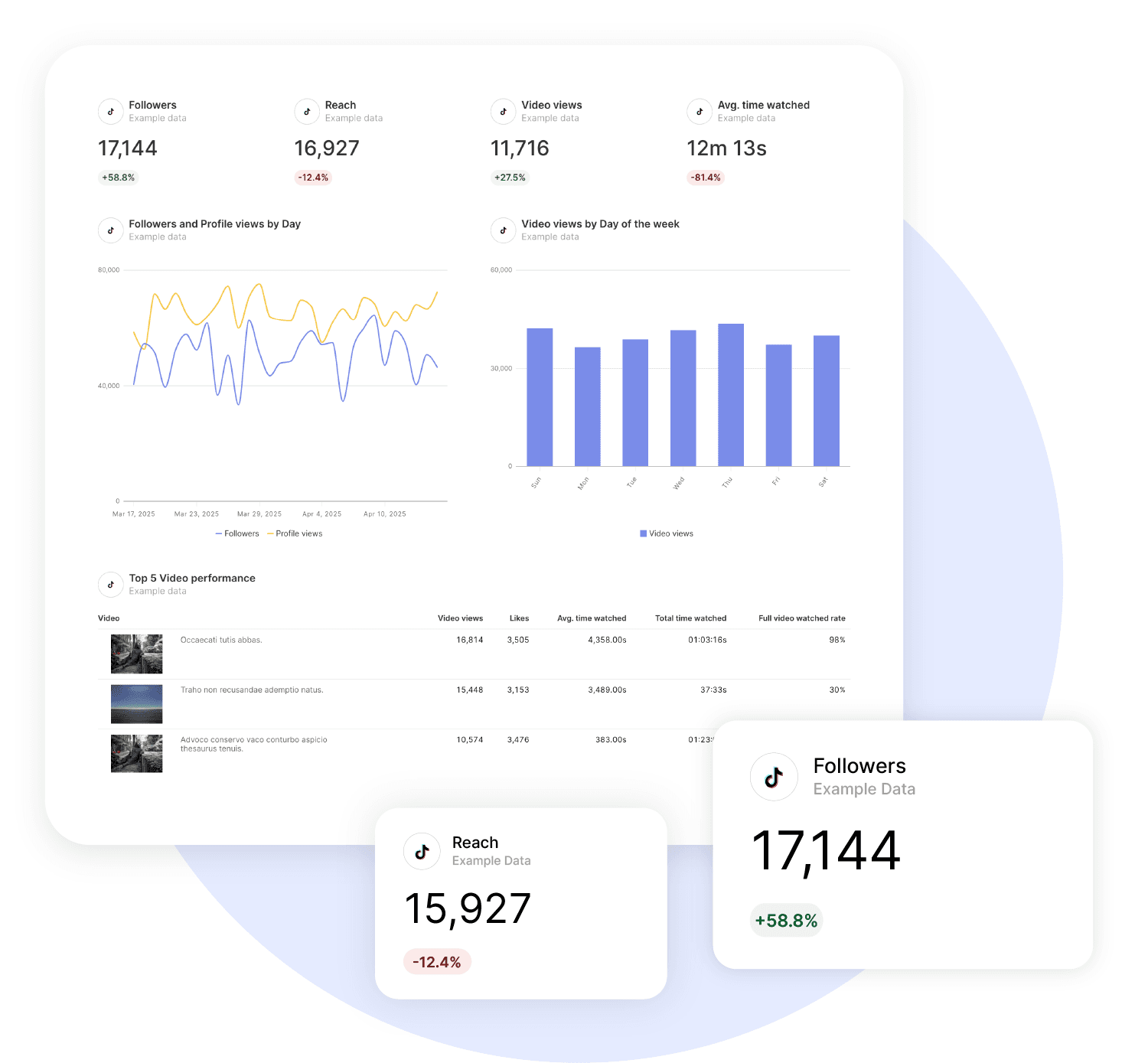 TikTok Organic Reporting