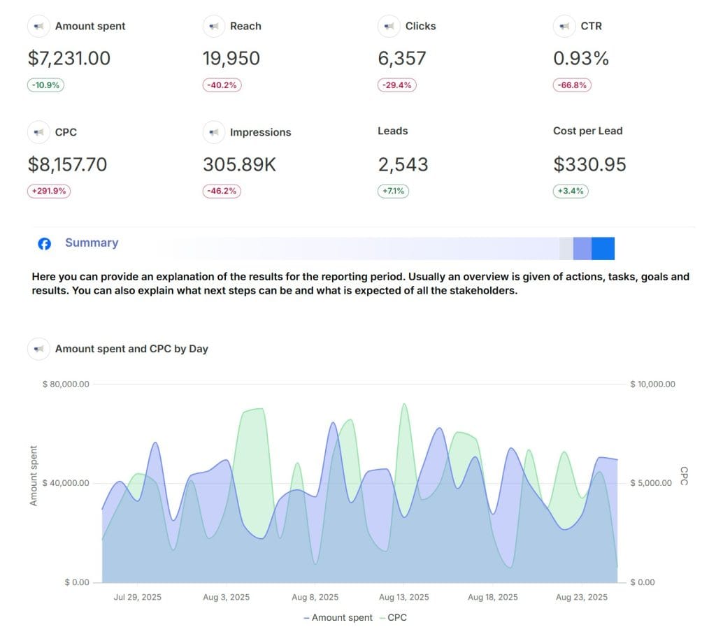 Download a Complete Facebook Ads Report Example PDF Swydo 08 26 2025 08 19 AM