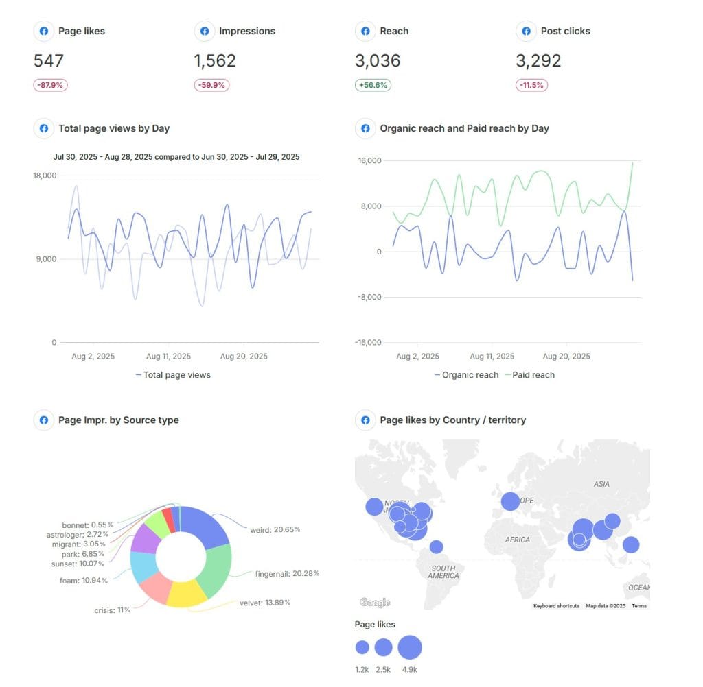 Facebook Insights Example Report Swydo 08 29 2025 12 09 PM