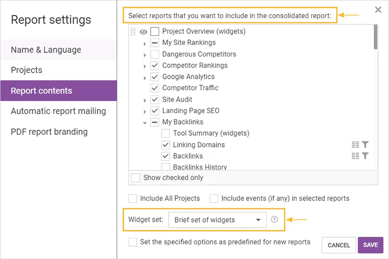 webceo screenshot report settings contents.0b736a310403